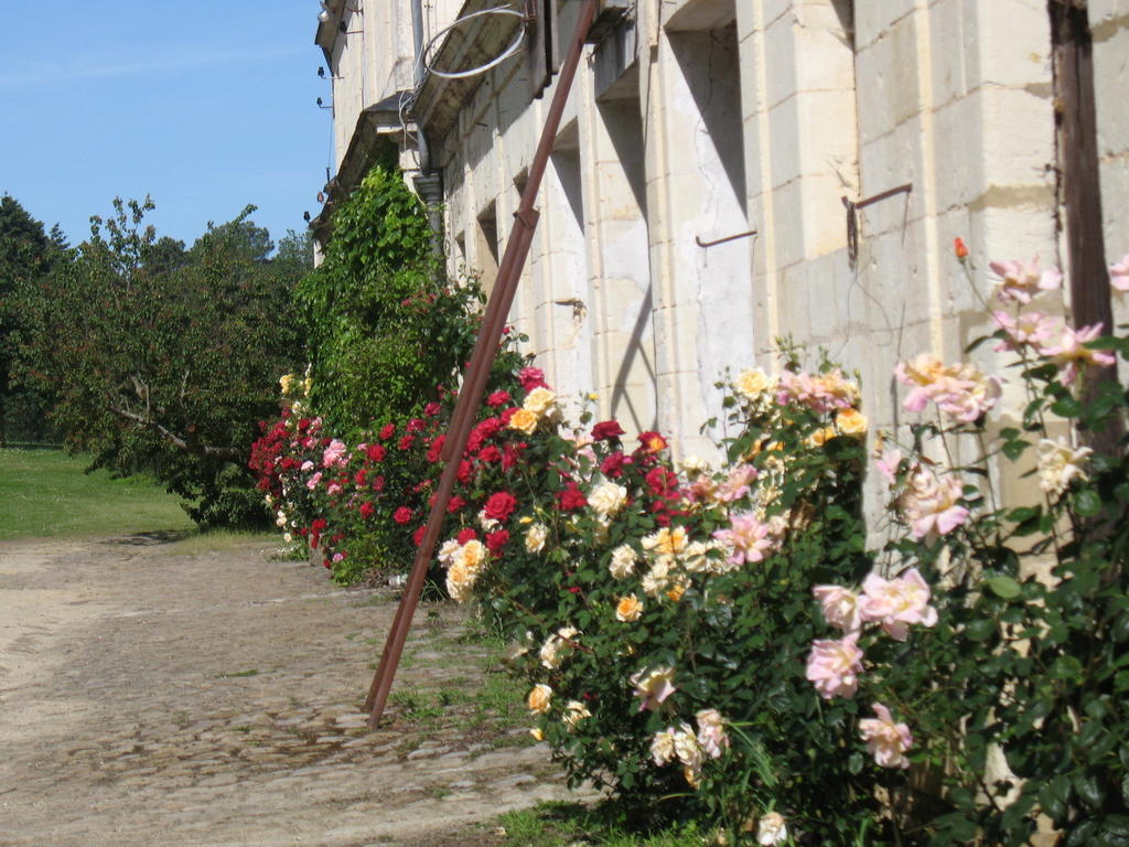 La Mesnagerie Bed and Breakfast Jarzé Δωμάτιο φωτογραφία